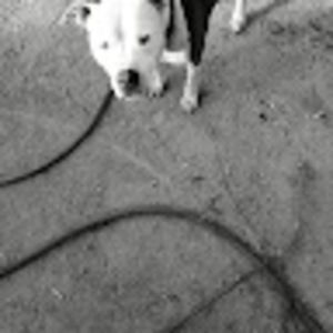 Meet your Posher, Audrey